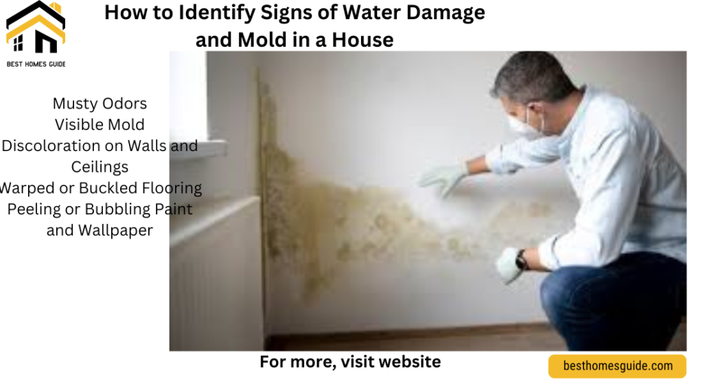 How to Identify Signs of Water Damage and Mold in a House