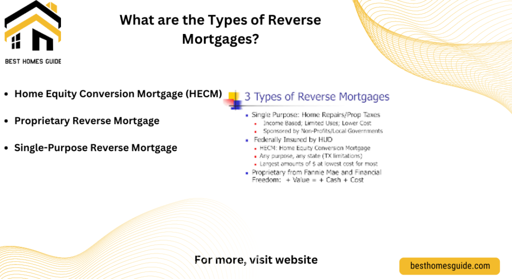 What are the Types of Reverse Mortgages?